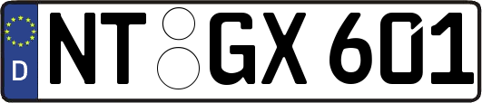 NT-GX601