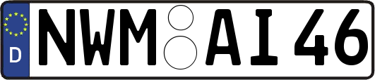 NWM-AI46