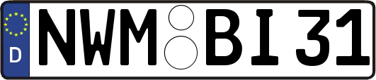 NWM-BI31