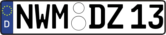 NWM-DZ13