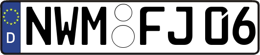 NWM-FJ06
