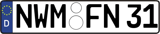 NWM-FN31