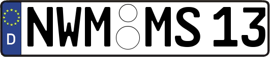 NWM-MS13