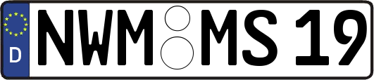 NWM-MS19