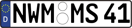 NWM-MS41