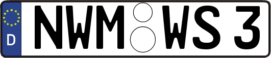 NWM-WS3