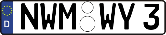 NWM-WY3