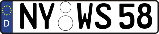 NY-WS58