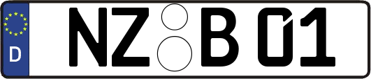 NZ-B01