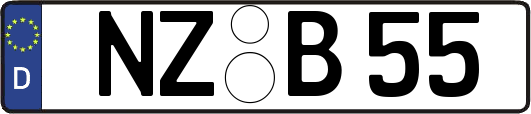 NZ-B55