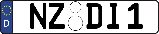 NZ-DI1