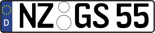 NZ-GS55