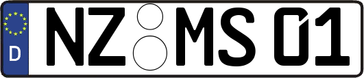 NZ-MS01