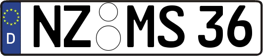 NZ-MS36