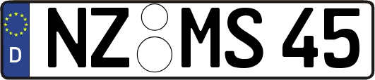 NZ-MS45