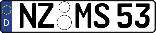 NZ-MS53