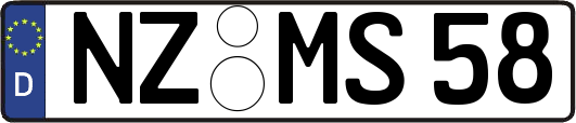 NZ-MS58