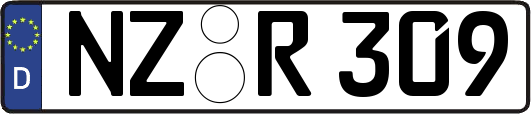 NZ-R309