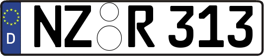 NZ-R313