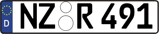 NZ-R491