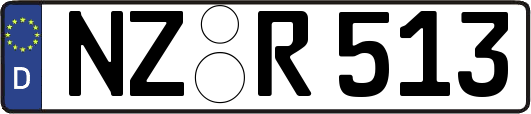 NZ-R513