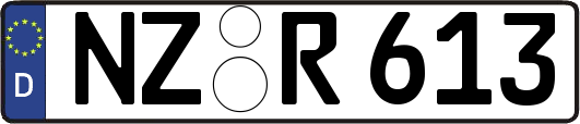 NZ-R613