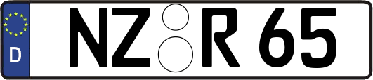 NZ-R65