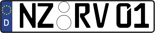 NZ-RV01