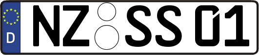 NZ-SS01