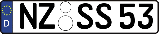 NZ-SS53