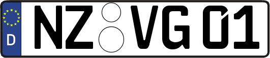 NZ-VG01