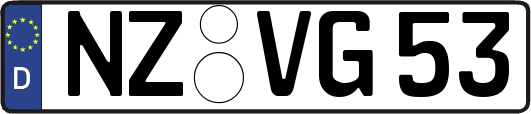 NZ-VG53
