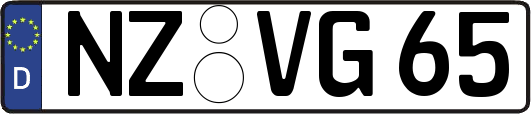 NZ-VG65