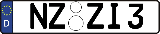 NZ-ZI3