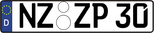 NZ-ZP30