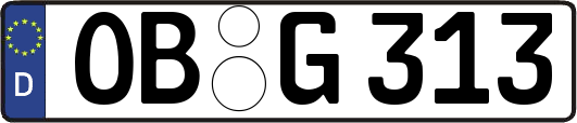OB-G313
