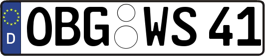 OBG-WS41