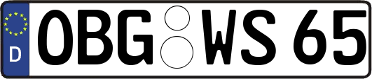 OBG-WS65