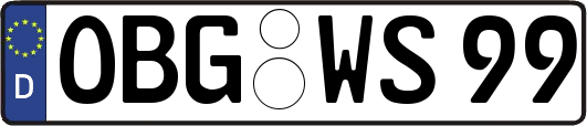 OBG-WS99