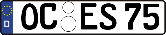 OC-ES75