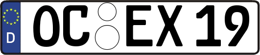 OC-EX19