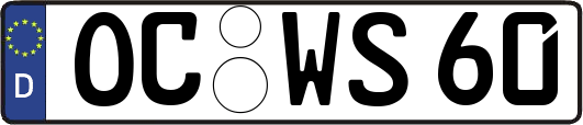 OC-WS60