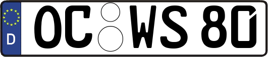 OC-WS80