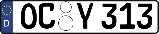 OC-Y313