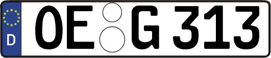 OE-G313