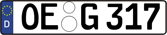OE-G317