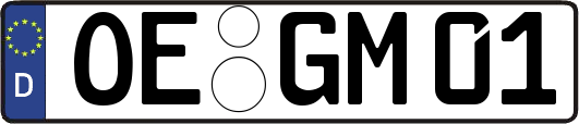 OE-GM01