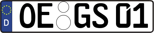 OE-GS01