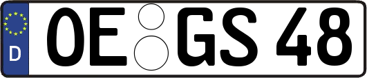 OE-GS48