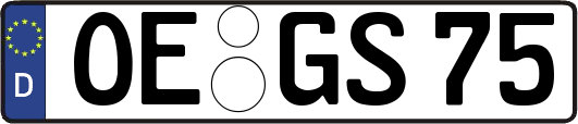 OE-GS75